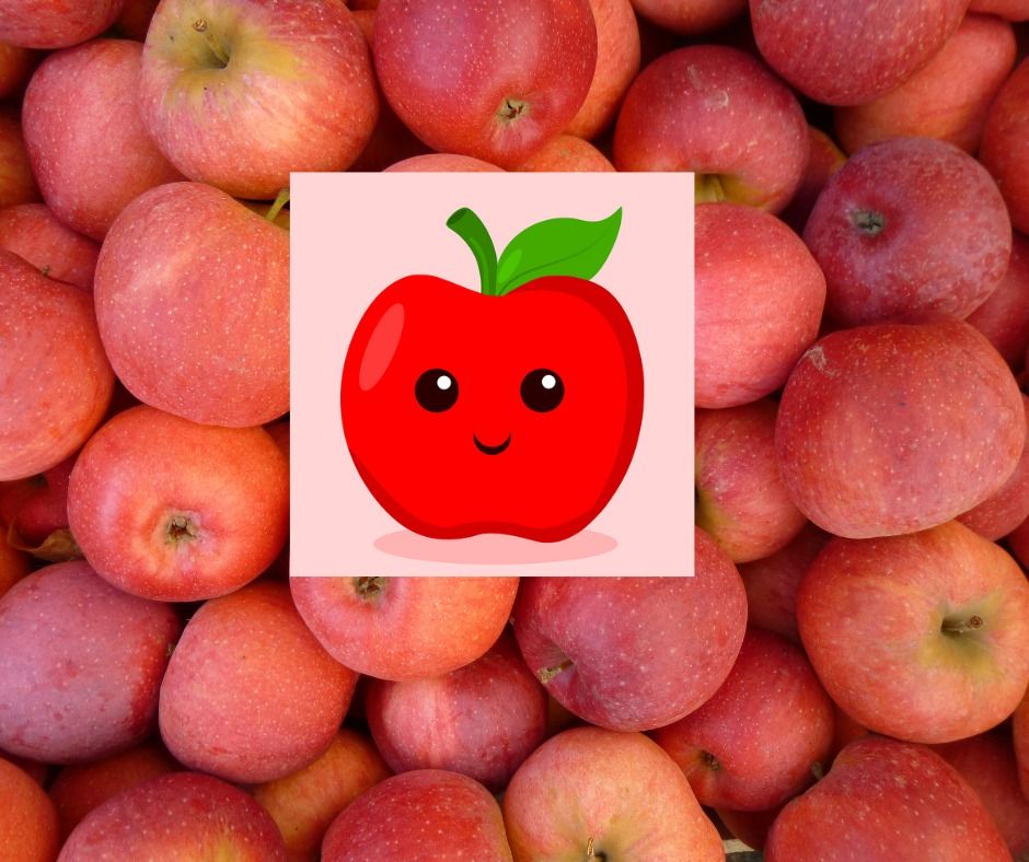 Little Bites, Owen County Public Library, Owenton, November 9 2023