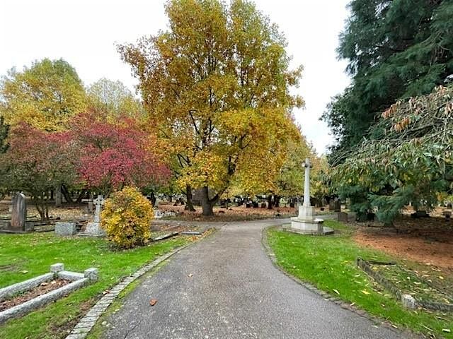 Guided tour of exotic tree collection at Canterbury Cemetery | Event in Canterbury | AllEvents