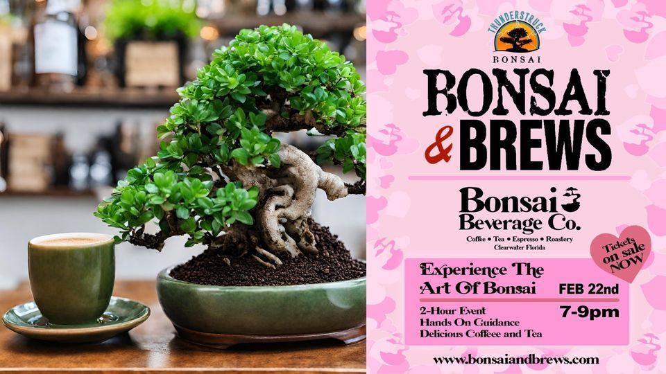 Bonsai & Brews at Bonsai Beverage Co., Bonsai Beverage Co., Dunedin