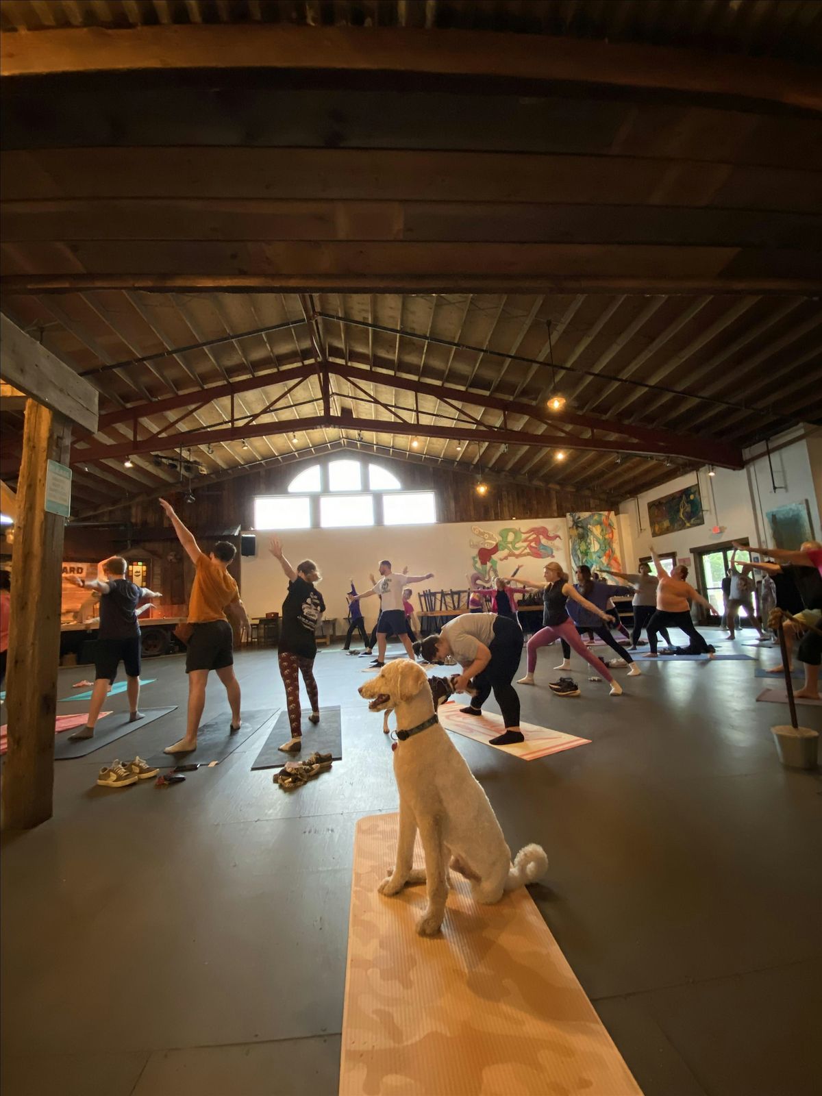 Puppy Yoga at Timberyard, 3 January | Event in East Brookfield | AllEvents
