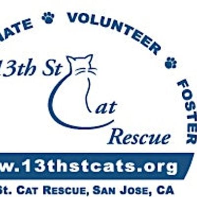 13th Street Cat Rescue