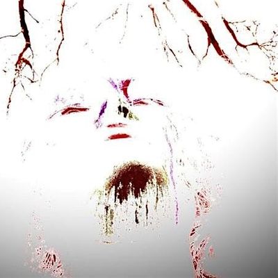 The Menopause Manor logo