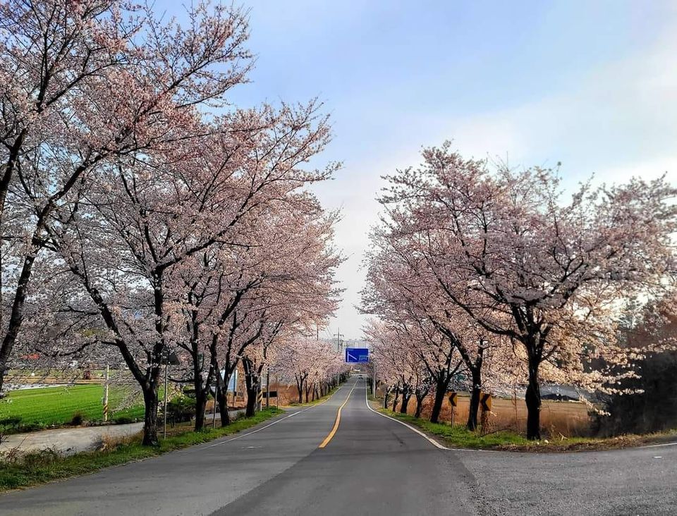 Korea 4 Rivers Cycling - Seoul to Busan (Fully Booked), Seoul, South ...