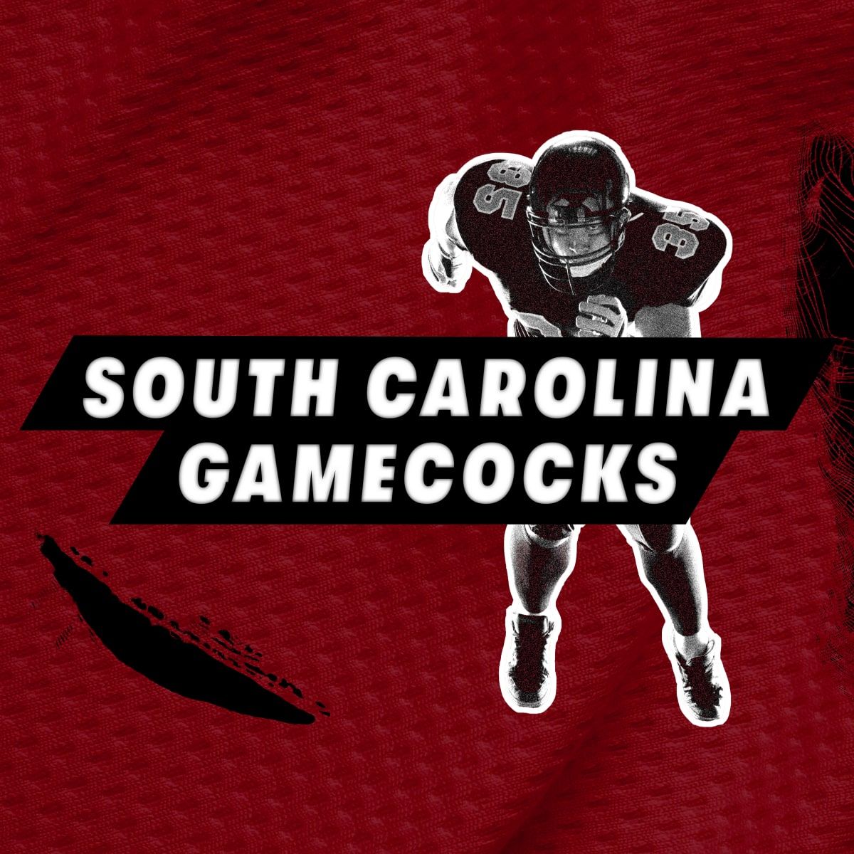 South Carolina State Bulldogs at South Carolina Gamecocks Football at Williams-Brice Stadium, 6 September