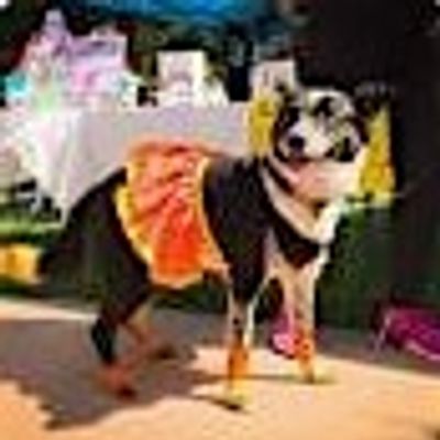 Kristine Crothers logo