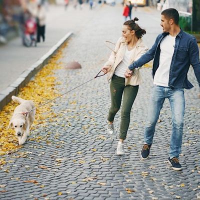 SpeedToronto Dating logo