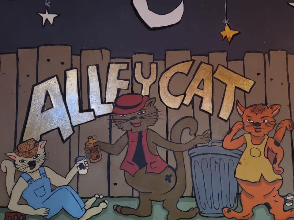 Super Bowl Party at the Alley Cat, 6267 Carrollton Ave, Indianapolis, IN, 11 February 2024