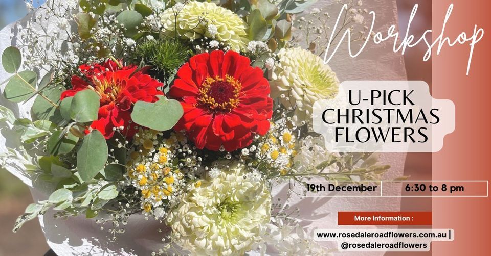 UPick Christmas Flowers Rosedale Road Flower Farm, Bathurst