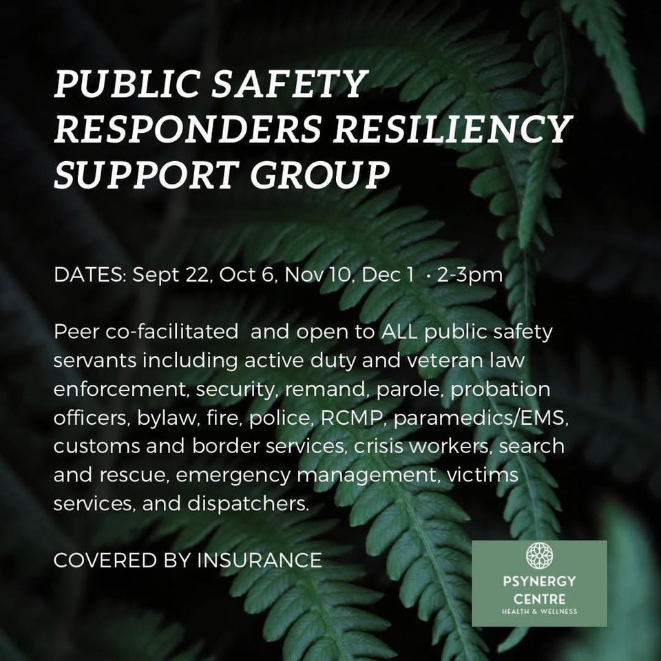 Medicine hat christmas lights