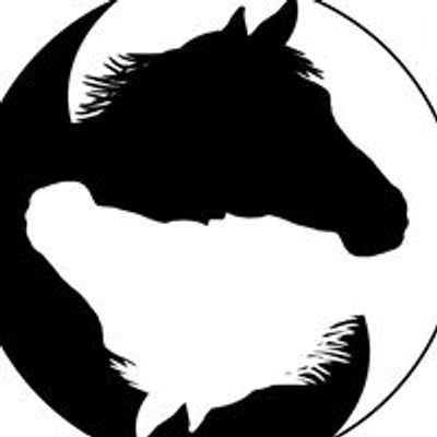 Inside Out Horse Training