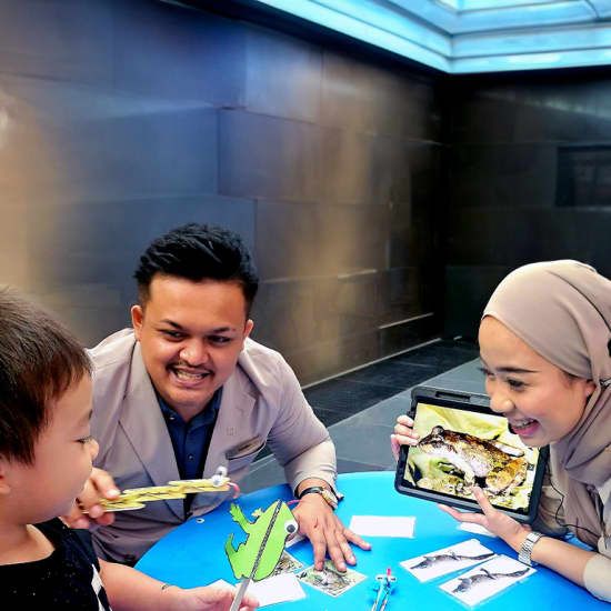 Drawn to the Wild Educational Workshop, 18 August | Event in Singapore | AllEvents