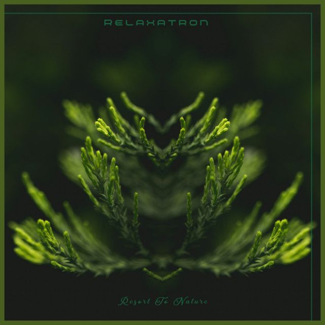 Relaxatron