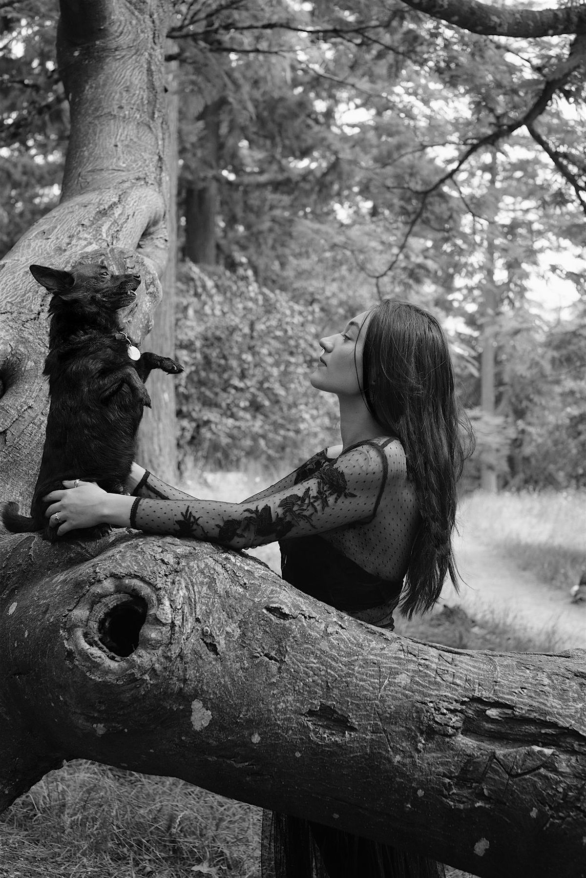 Thumps in the Night, 15 December | Event in Albuquerque | AllEvents