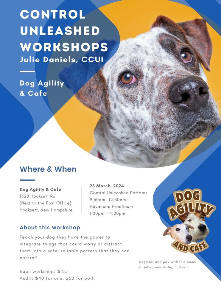 Control Unleashed Patterns, 1328 Hooksett Rd, Hooksett, NH