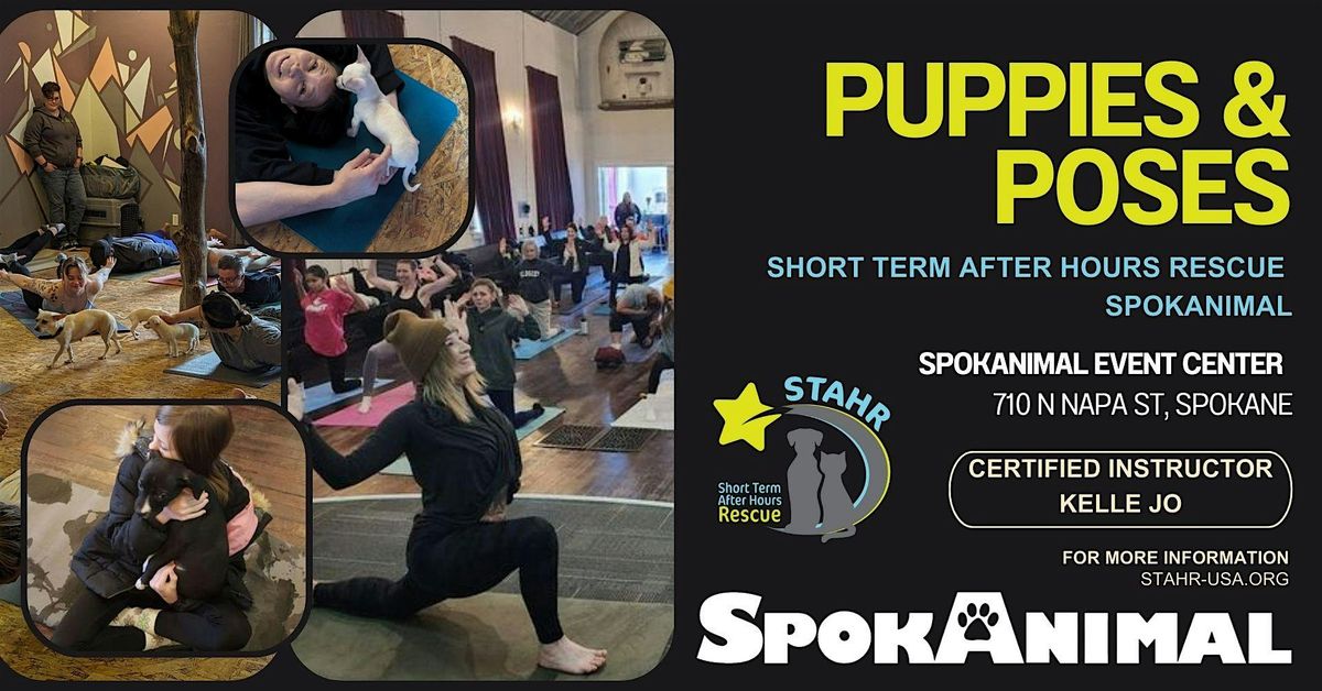 January Puppies & Poses, 18 January | Event in Spokane | AllEvents