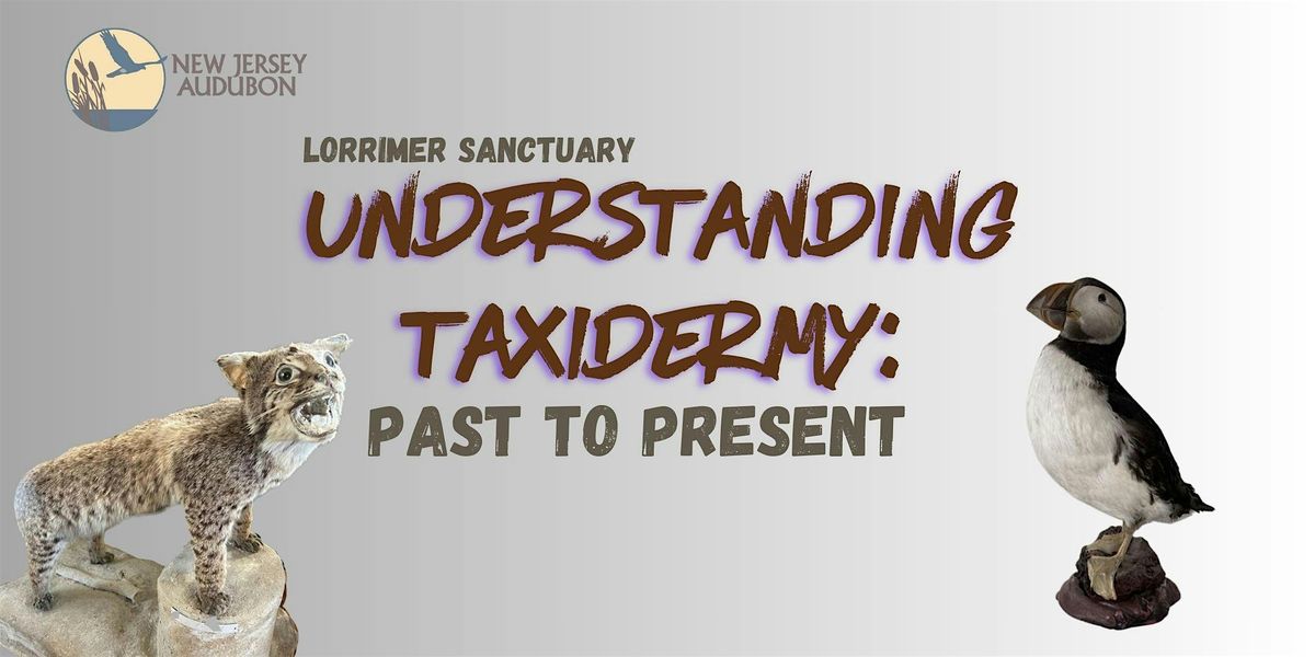 Understanding Taxidermy: Past to Present, 22 January | Event in Franklin Lakes | AllEvents