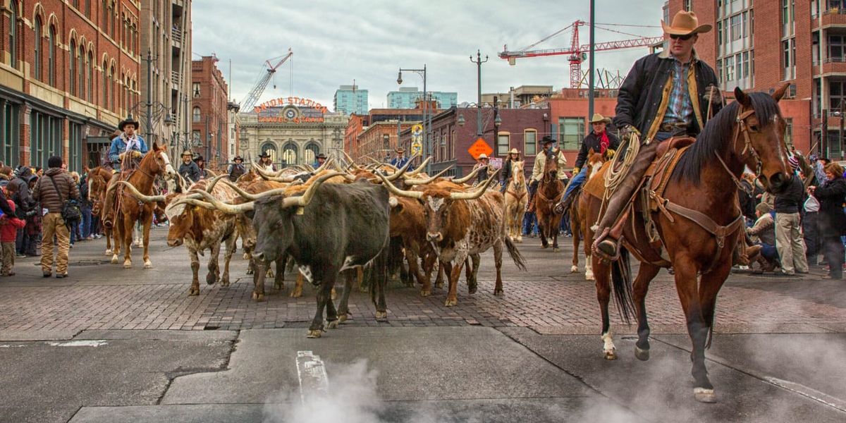 National Western Stock Show at Denver Coliseum, 10 January | Event in Denver | AllEvents