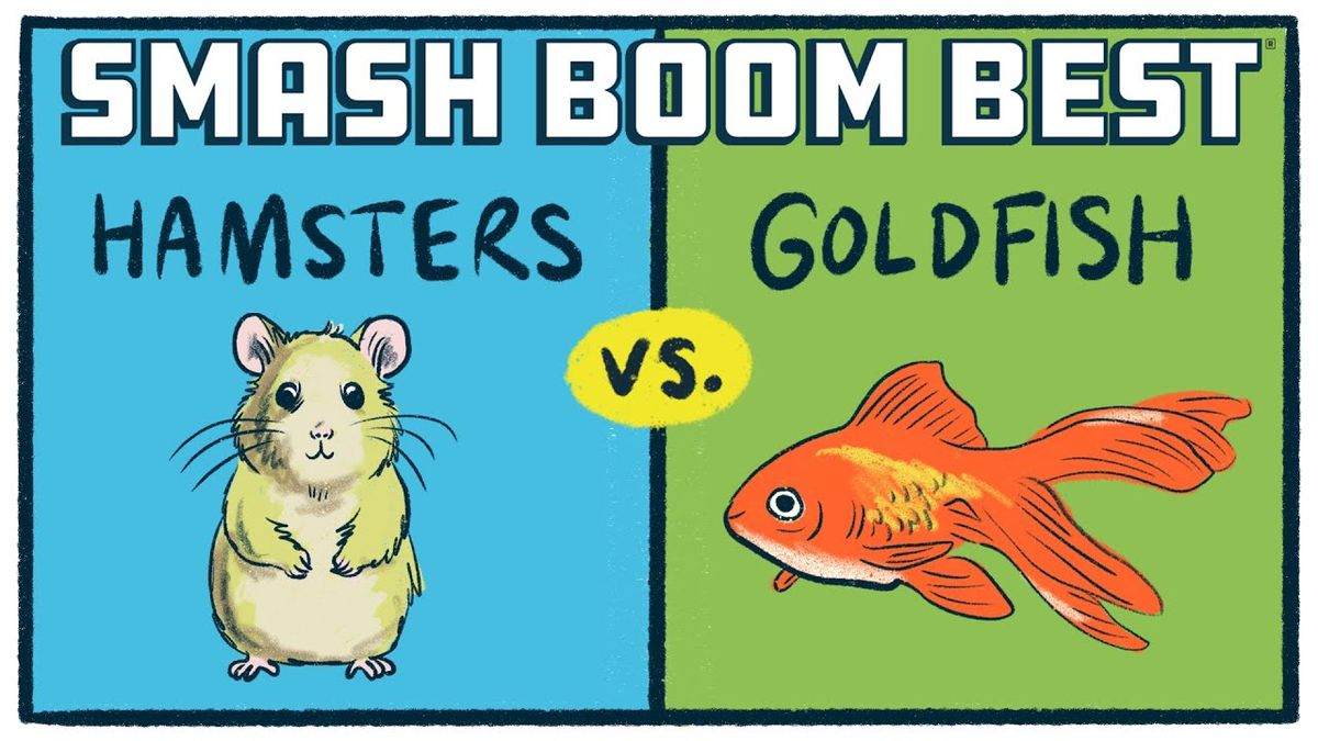 Smash Boom Best LIVE, 25 October | Event in Princeton | AllEvents