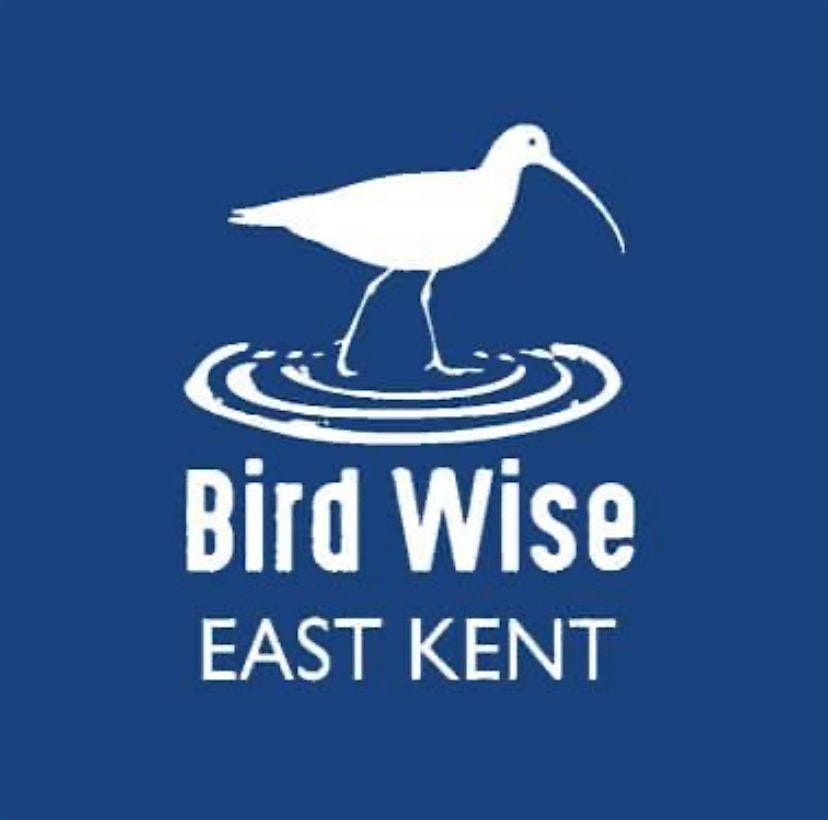 Margate Cemetry National Tree Week Guided Walk | Event in Margate | AllEvents