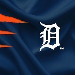 Parking Spring Training: Baltimore Orioles at Detroit Tigers