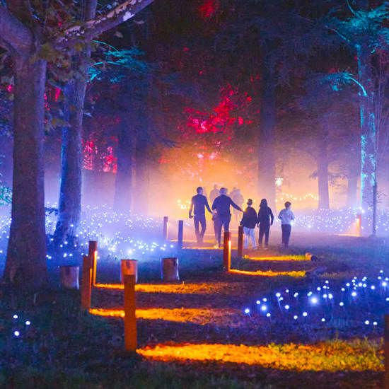 Light Cycles: ¡Un paseo nocturno mágico entre las luces y los sonidos de la naturaleza!, 8 May | AllEvents