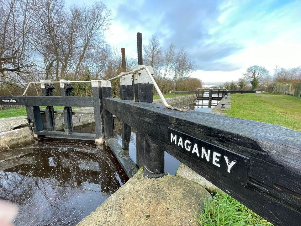 St Brigids Walk , Mullaghreelan Forest, Kildare, 5 February 2024