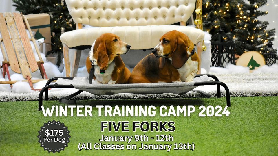 Winter Training Camp FIVE FORKS , Astro Kennels, Simpsonville