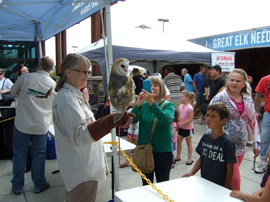 The Sportsmans Rocky Mountain Elk Foundation Event At Sportsman