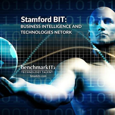 Stamford BIT:Business Intelligence & Technologies logo