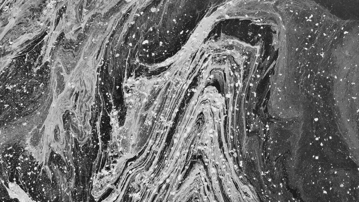 Boreal, Steven Taetz, Adam Baldwin, Vieux Farka Touré, Son Rompe Pera, Absolute Losers, Etran de L'AÏr, Quote the Raven, Bells Larsen, Sebastian Gaskin, Jon McKiel, Bibi Club, Hurray For The Riff Raff, Ballsy, Ruby Waters, DijahSB, Celeigh Cardinal, Petite Noir, Ghostkeeper, Lloyd Spiegel, Kelly McMichael, Lucius, Milk & Bone, Bria Salmena, Steve Poltz, Excuse Me., Los Bitchos, Tim Baker, Drezus, Ikky, Mexican Institute Of Sound, Ryan Young, Femi Kuti, Taylor Ashton, The Devin Cuddy Band, Lilyisthatyou, Jolie Laide, The Sarandons, Lex Leosis, Abigail Lapell in Guelph, 18 July