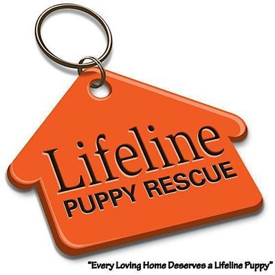 Lifeline Puppy Rescue logo
