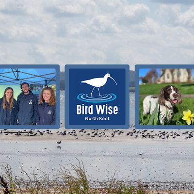 Bird Wise North Kent logo