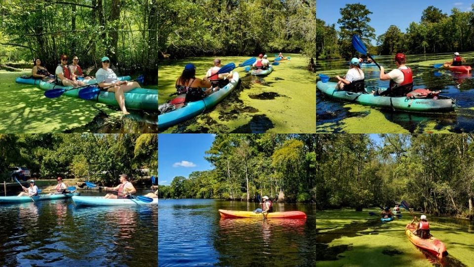 Guided Kayak Tour, Bob's Fishing hole, Chesapeake, 9 September 2023