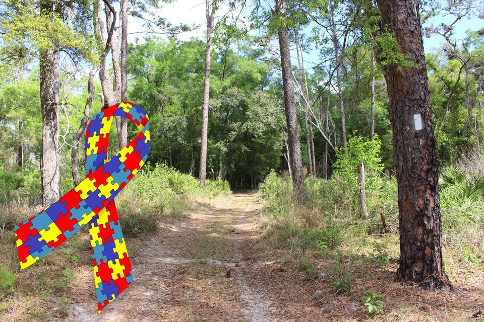 Sensory Friendly Hike and Activities, Chinsegut Conservation Center