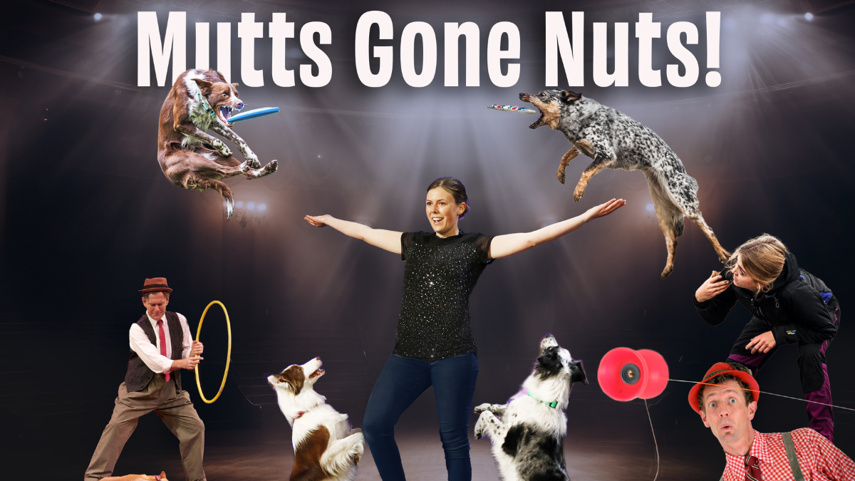 Mutts Gone Nuts at Edmond Town Hall, 6 September | Event in Newtown | AllEvents