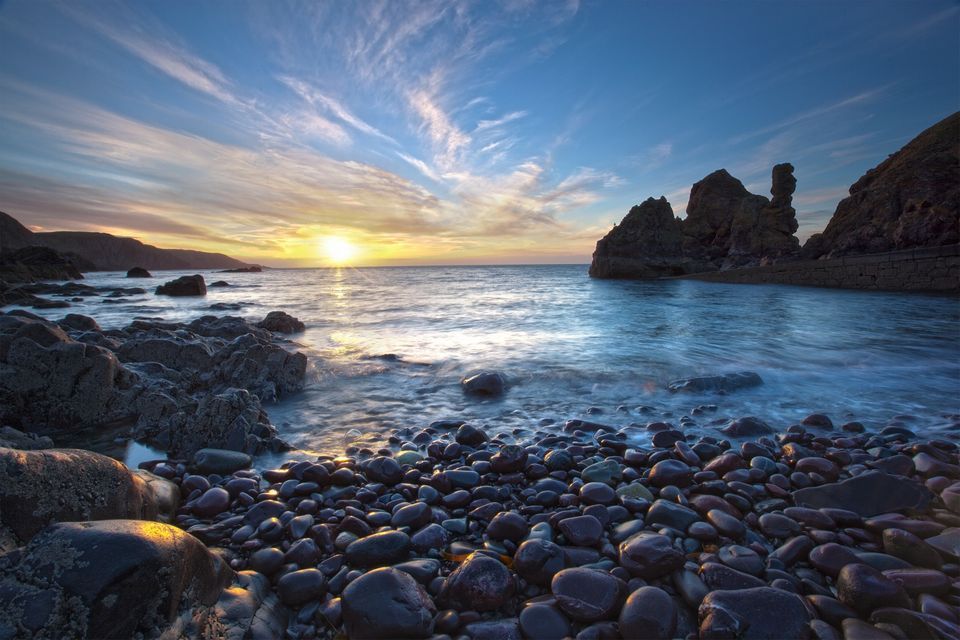 Seal Sunday with St Abbs NTS, St Abb's Head National Nature Reserve NTS