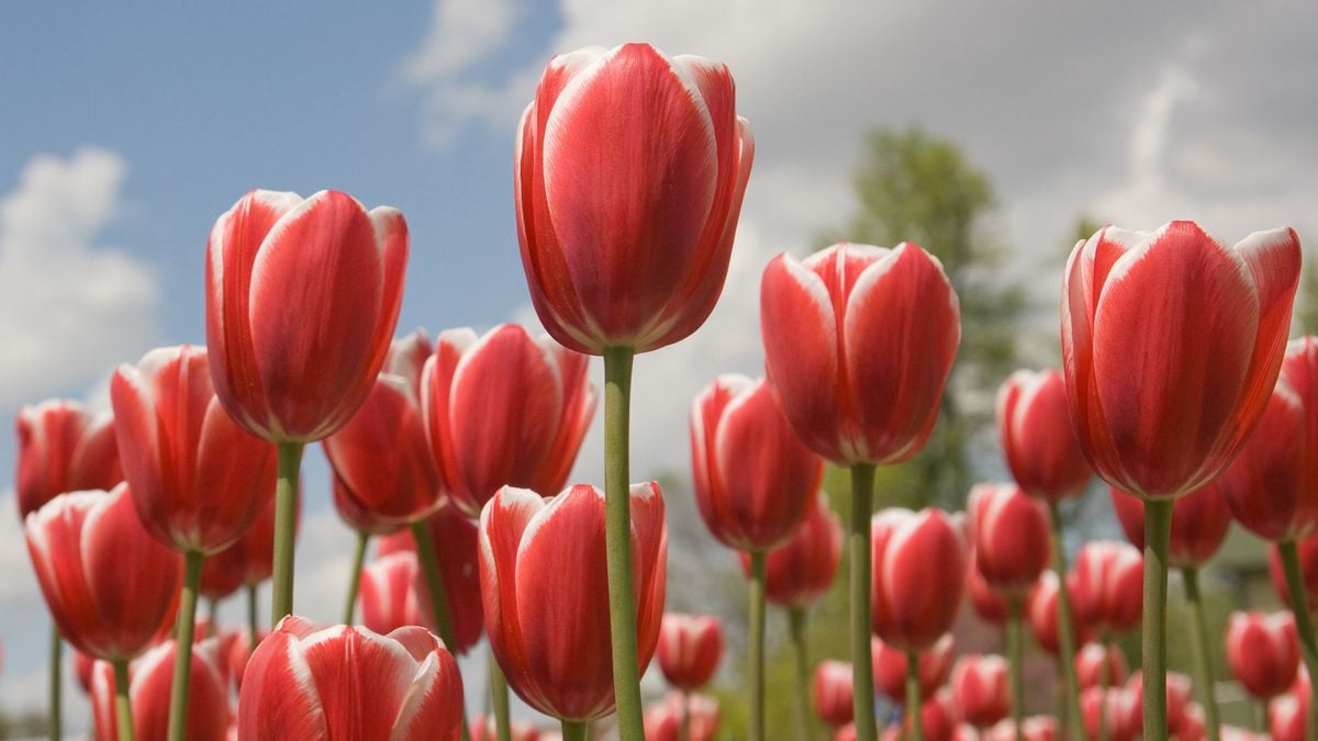 Relief Society Activity - Spring Into Action | Event in West Jordan | AllEvents
