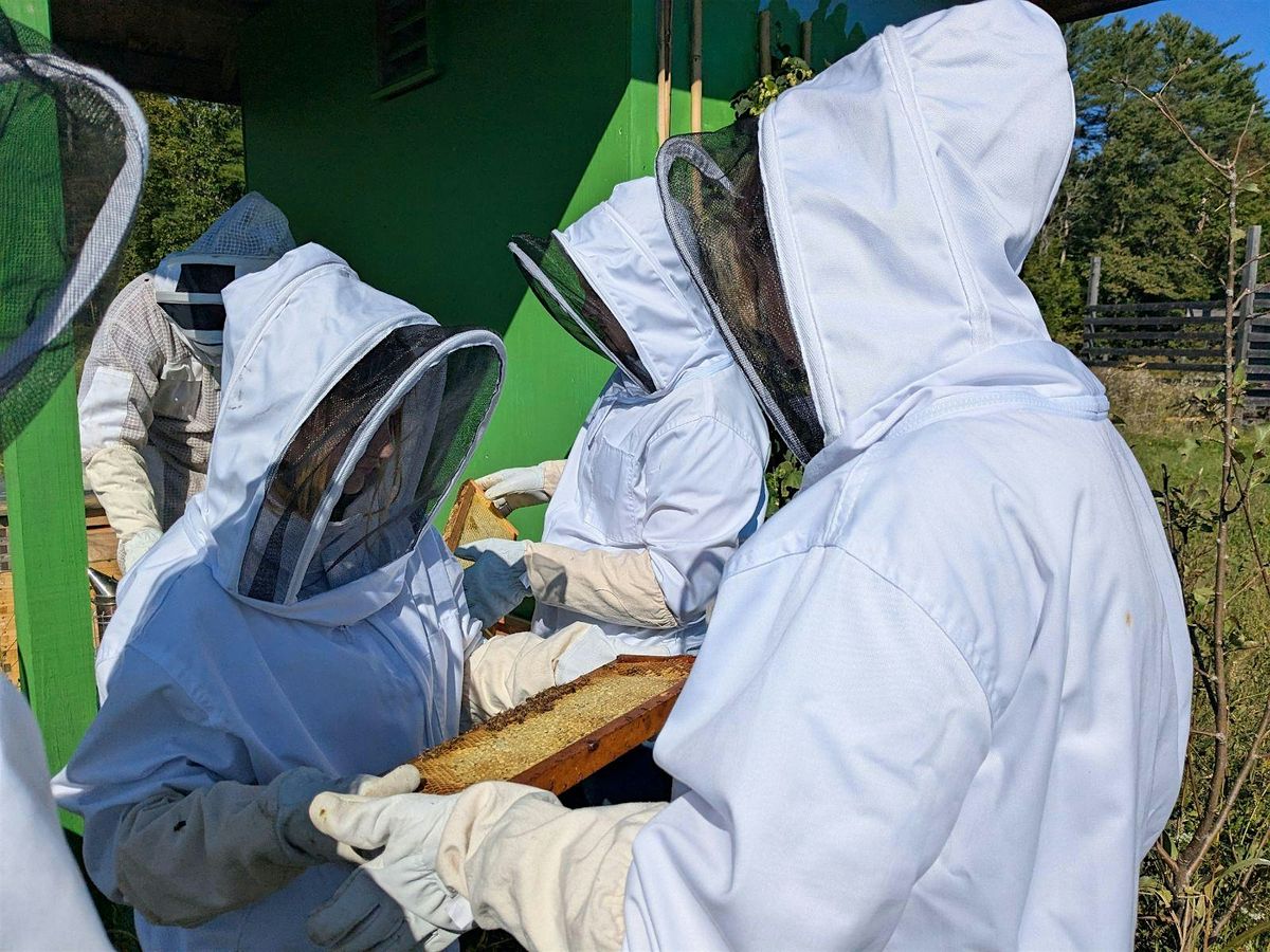 MeANS January Shadow Day, 23 January | Event in Fairfield | AllEvents