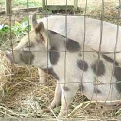 Maple Glen Farm