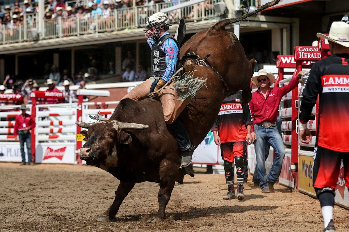 Calgary Stampede Rodeo, 2 July | Event in Calgary | AllEvents