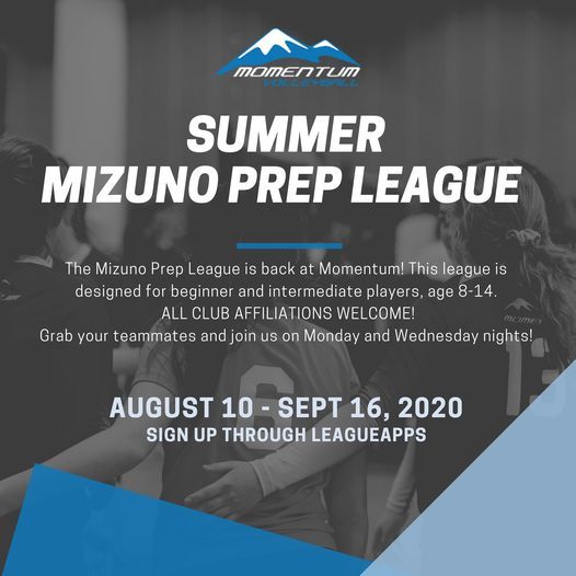 mizuno annual report