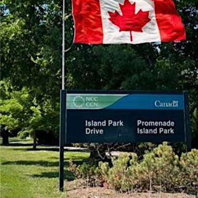 Shawn Anthony, Island Park Community Association logo