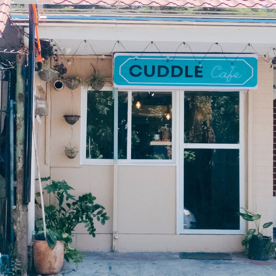Cuddle Me Stickers, Cuddle Cafe, Cavite City, 7 October to 8 October AllEvents.in