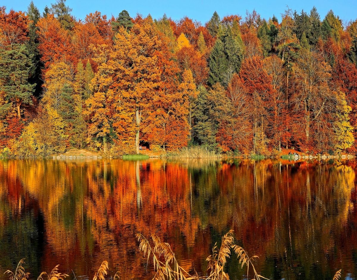 Hobble Creek Fall Social, 8 October | Event in Boise | AllEvents