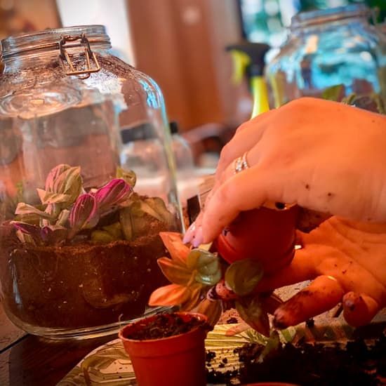 Workshop Terrarium au Serra | Event in Brussels | AllEvents