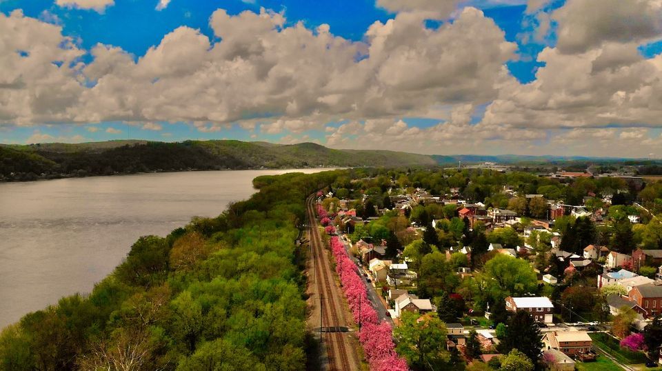 Marietta Cherry Blossom Benefit Music Festival, Marietta Front Street Festivals, April 13 2024