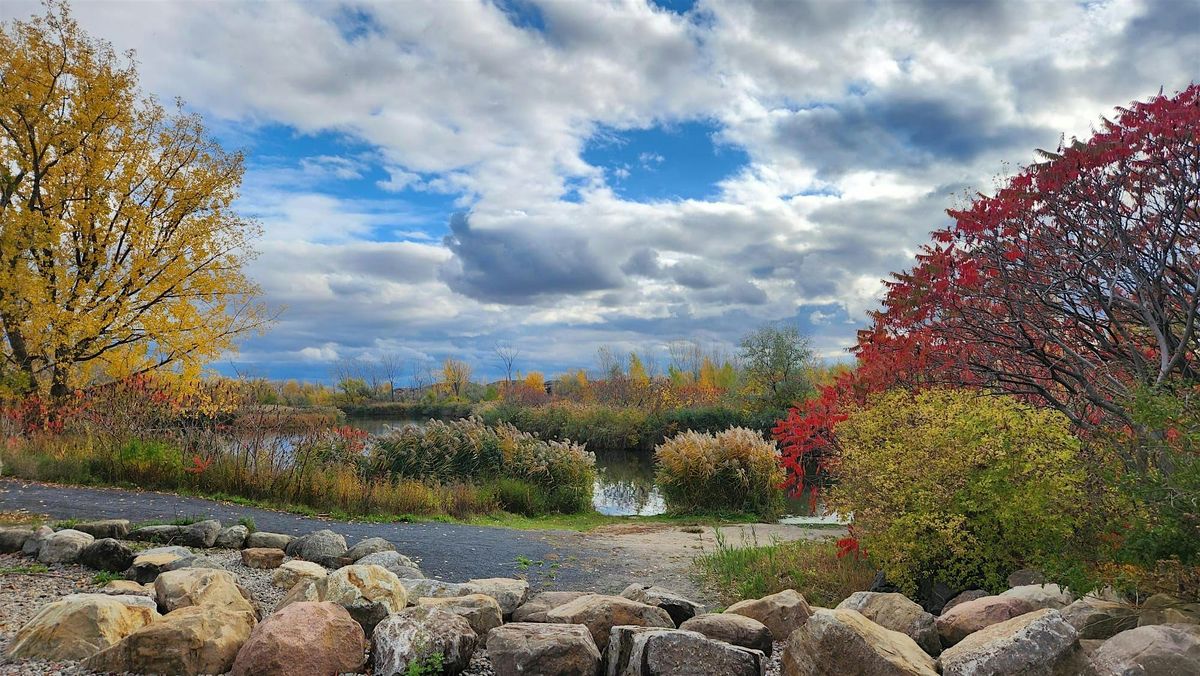 Coachs en marche à Longueuil le 19 décembre 2025, 19 December | Event in Longueuil | AllEvents