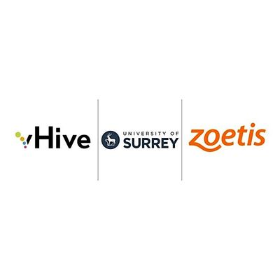 vHIVE, University of Surrey logo