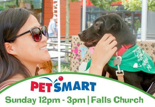 Dog And Cat Adoption Event At Petsmart In Falls Church Petsmart Arlington July 25 2021 Allevents In Petsmart Events July 2022 22312