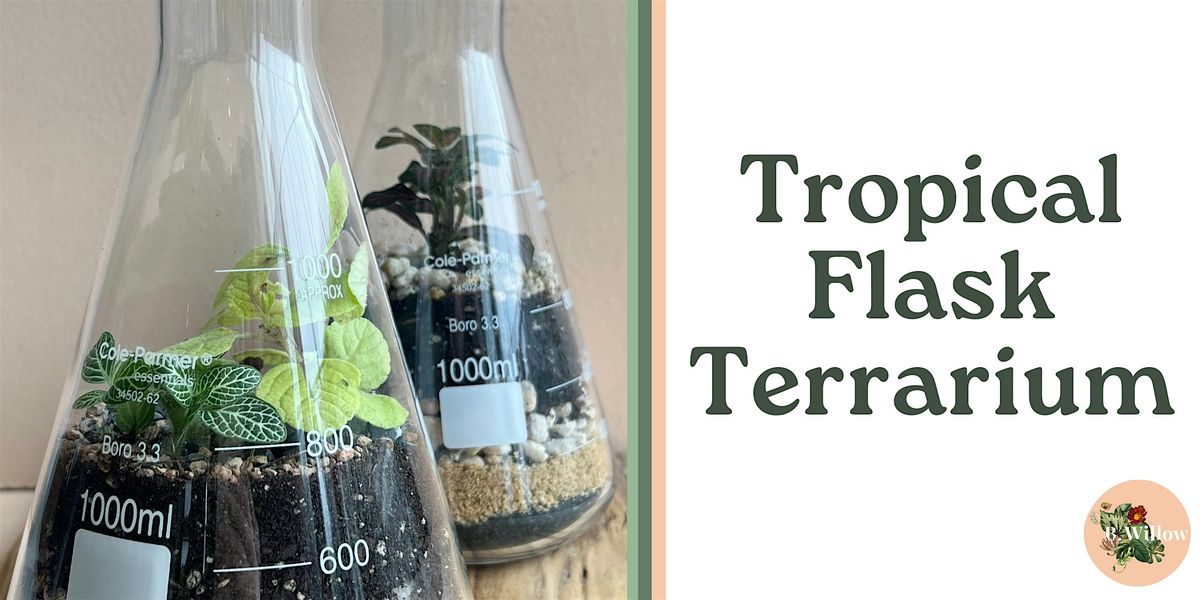 Tropical Flask Terrarium Workshop, 31 January | Event in Baltimore | AllEvents